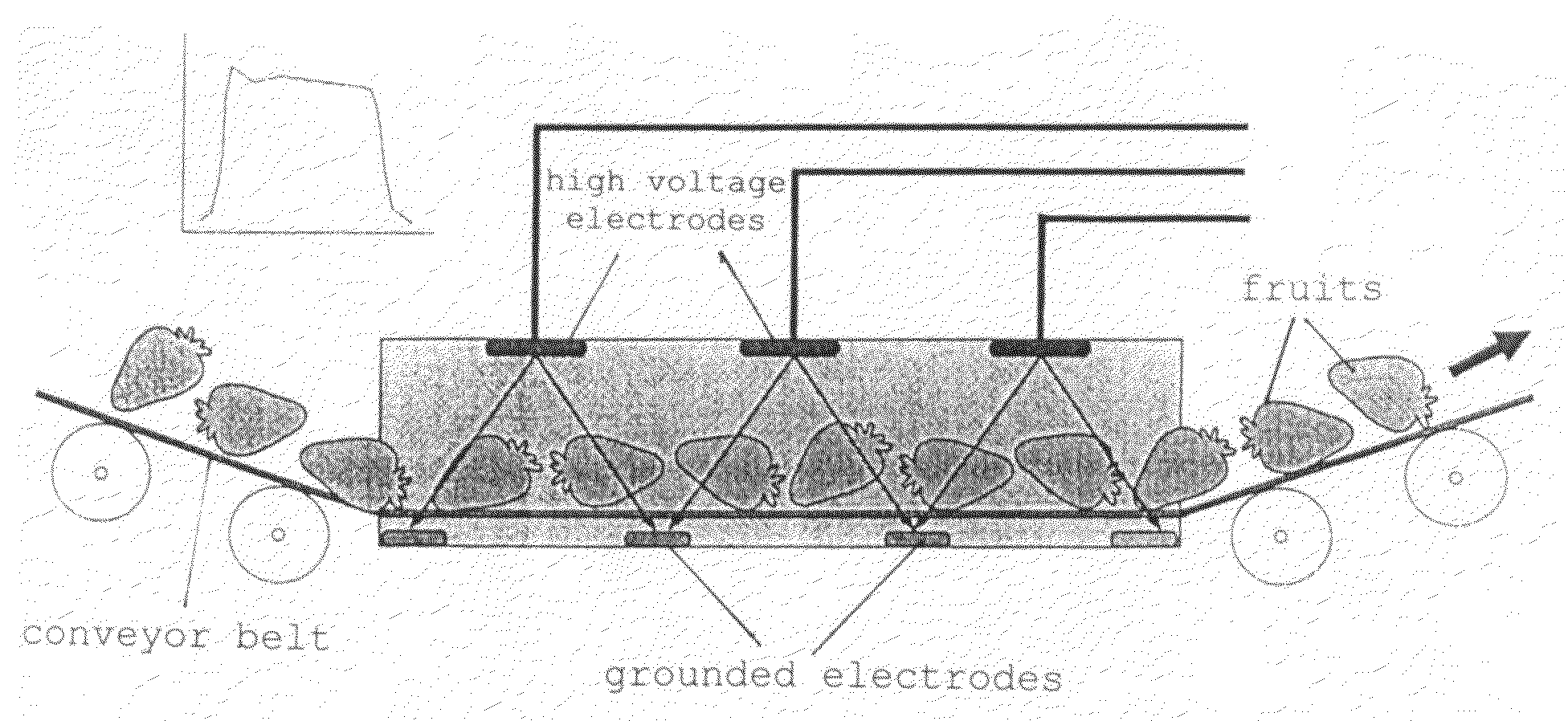 Method and reactor for the non-thermal decomposition and pasteurization of organic process materials by electroporation