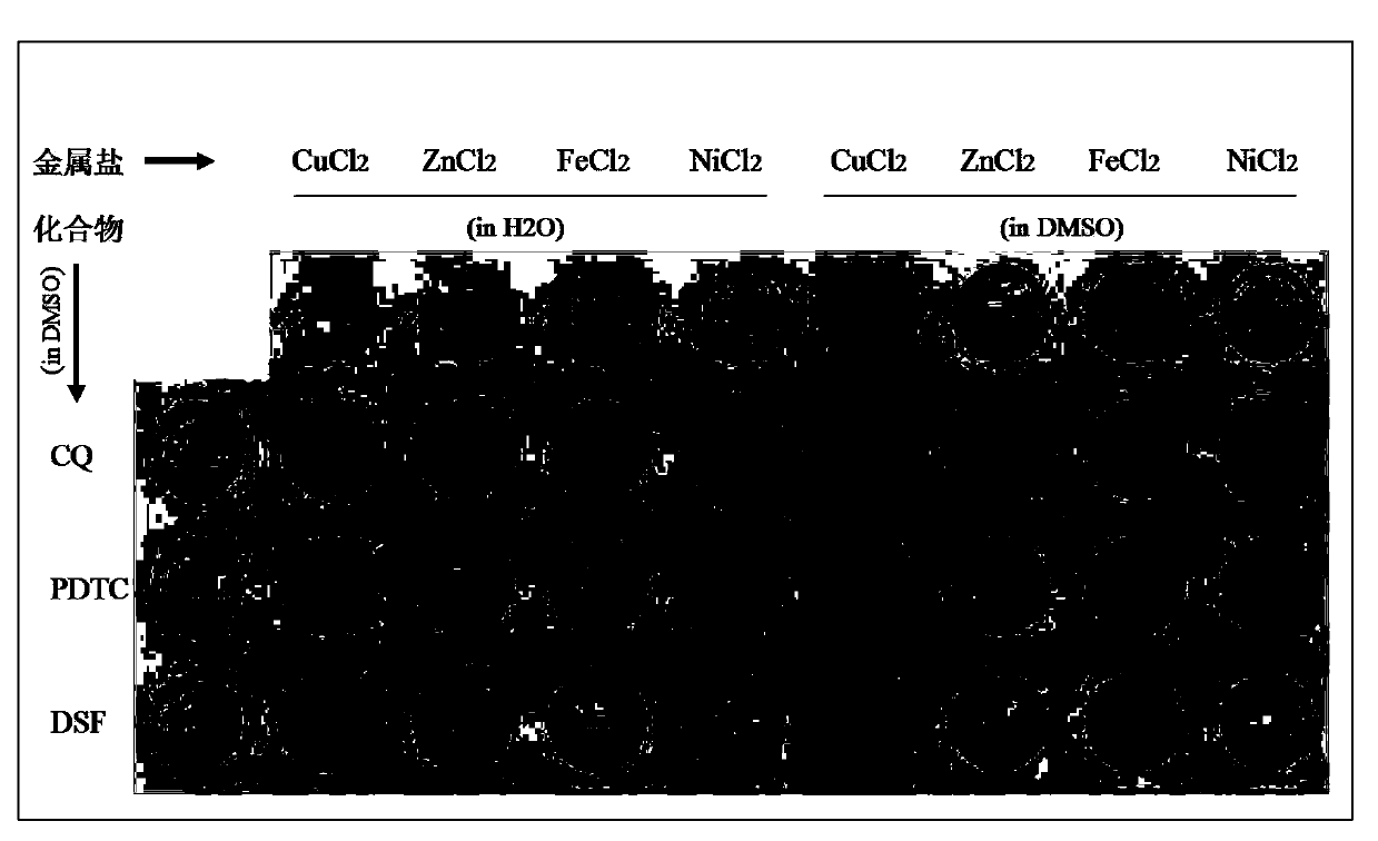 Anticancer composition