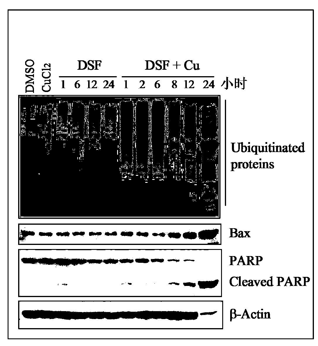 Anticancer composition