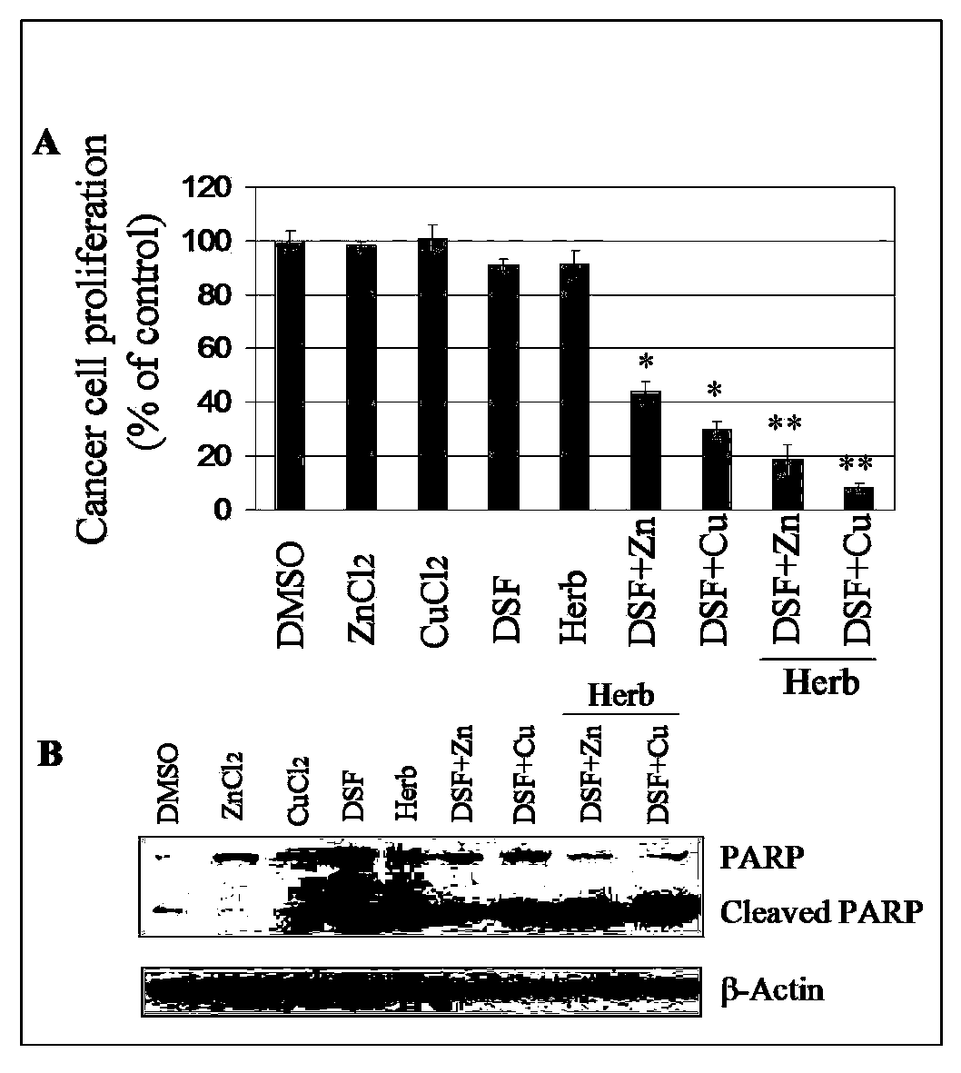 Anticancer composition