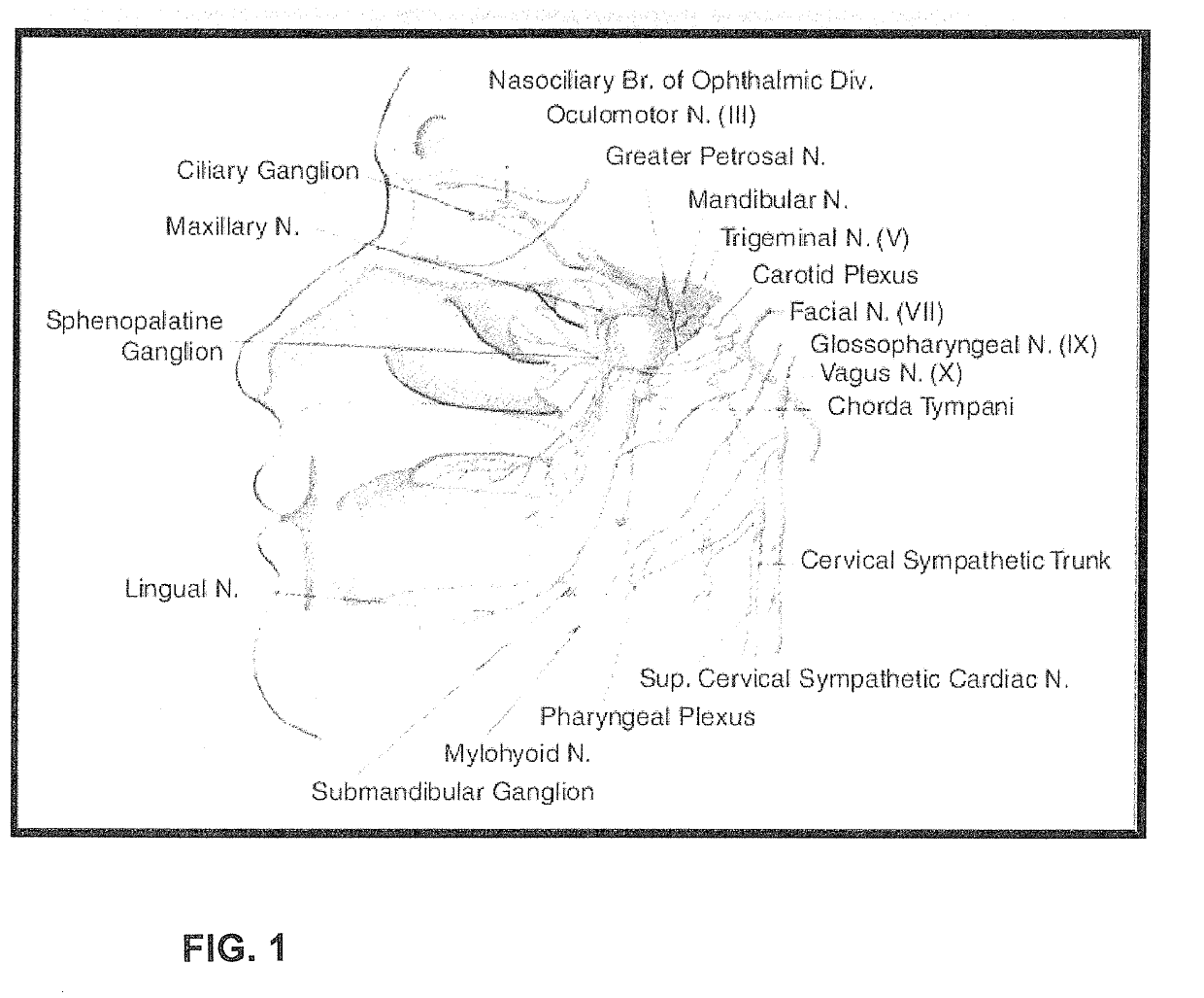 Method for Treating Head or Cranium Pain Including Migraine and Cluster Headaches