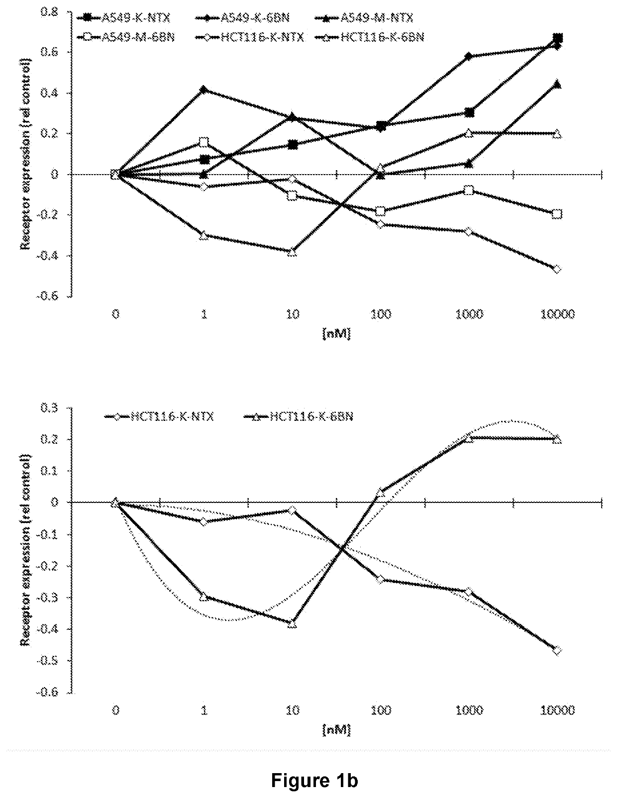 Assay to identify Anti-cancer agents