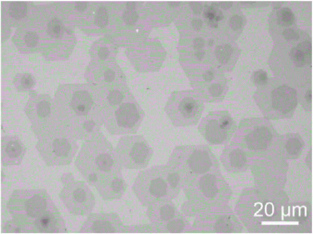 A photodetector based on twisted bilayer graphene and its preparation method