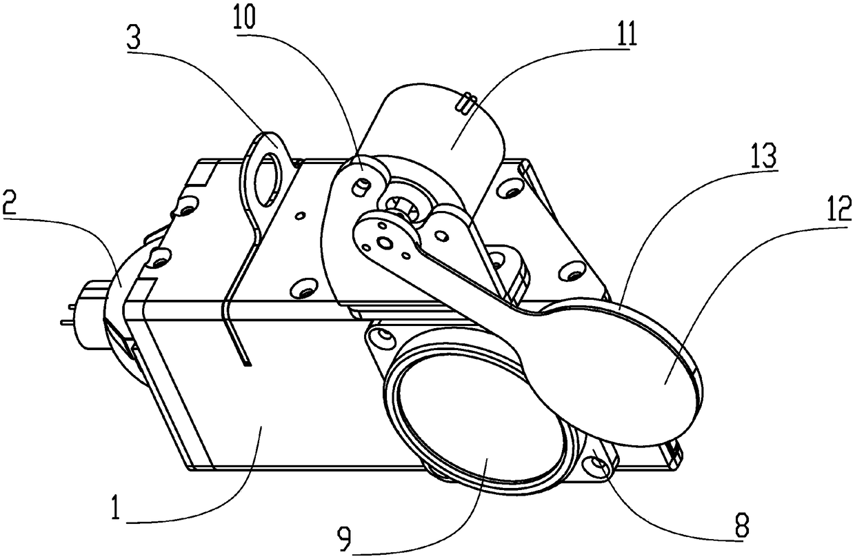 Light focusing device for detecting internal quality of fruits and vegetables