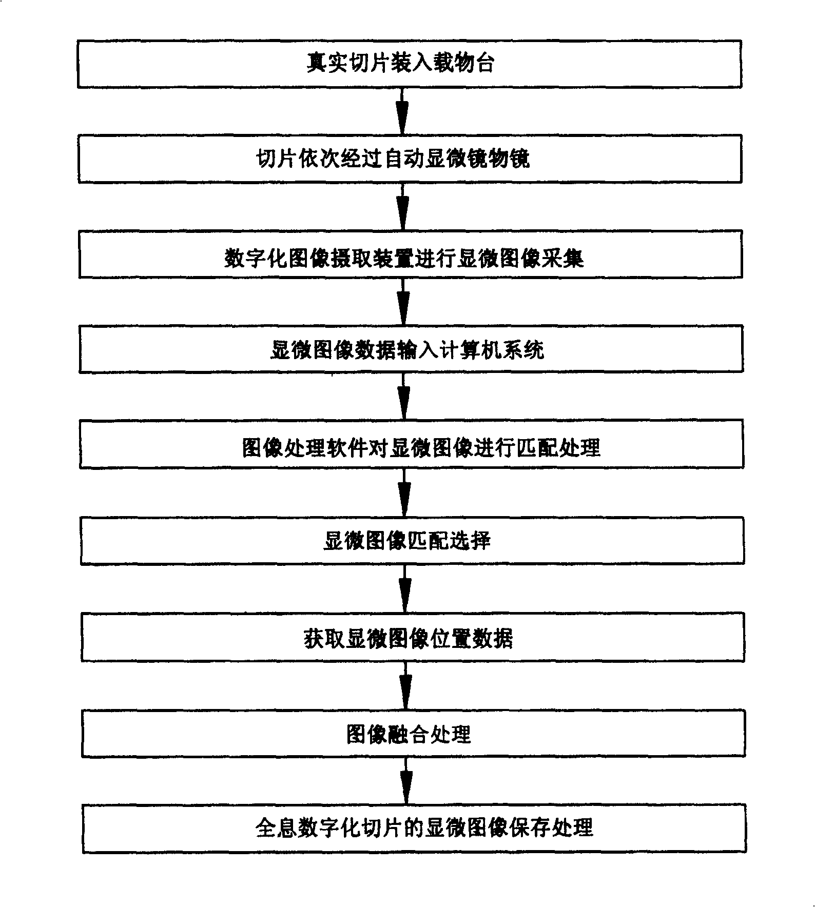 Method for preparing microscopic image of holographic digitalized sliced sheet