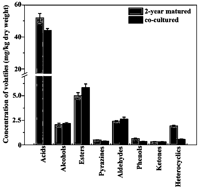 A rapid post-ripening fermentation method based on the characteristic flavor of Mucor-type tempeh