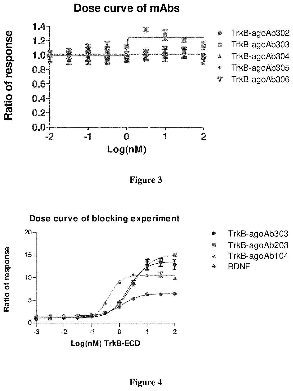 Anti-TrkB agonist antibodies binding to D5 domain of TrkB and methods of promoting neuronal survival in motor neuron injury, stroke or glaucoma