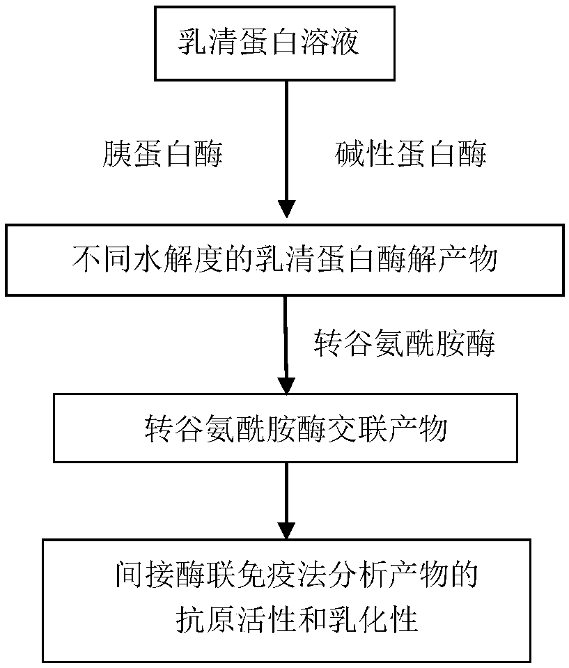 Method for preparing hypoallergenic whey protein by coupling protease hydrolysis and transglutaminase cross-linking modification