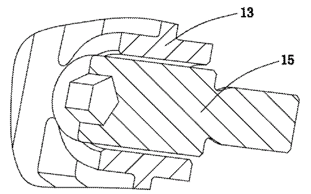 Timing chain transmission system and engine