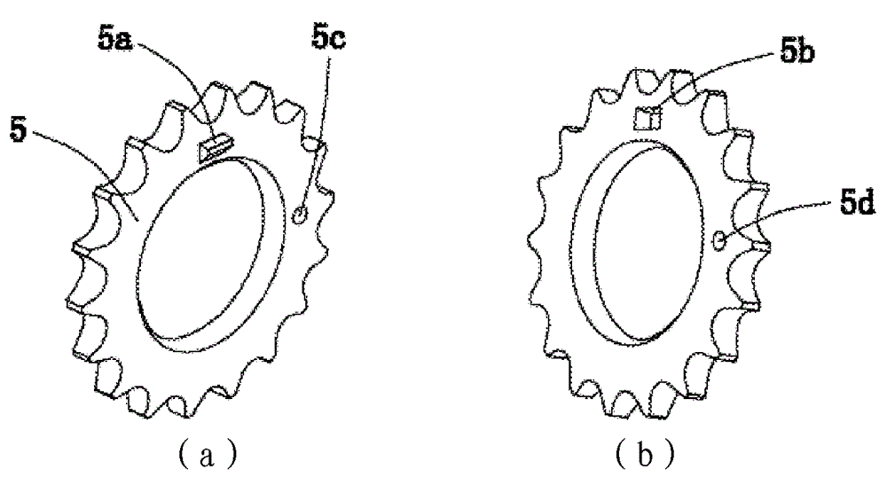 Timing chain transmission system and engine