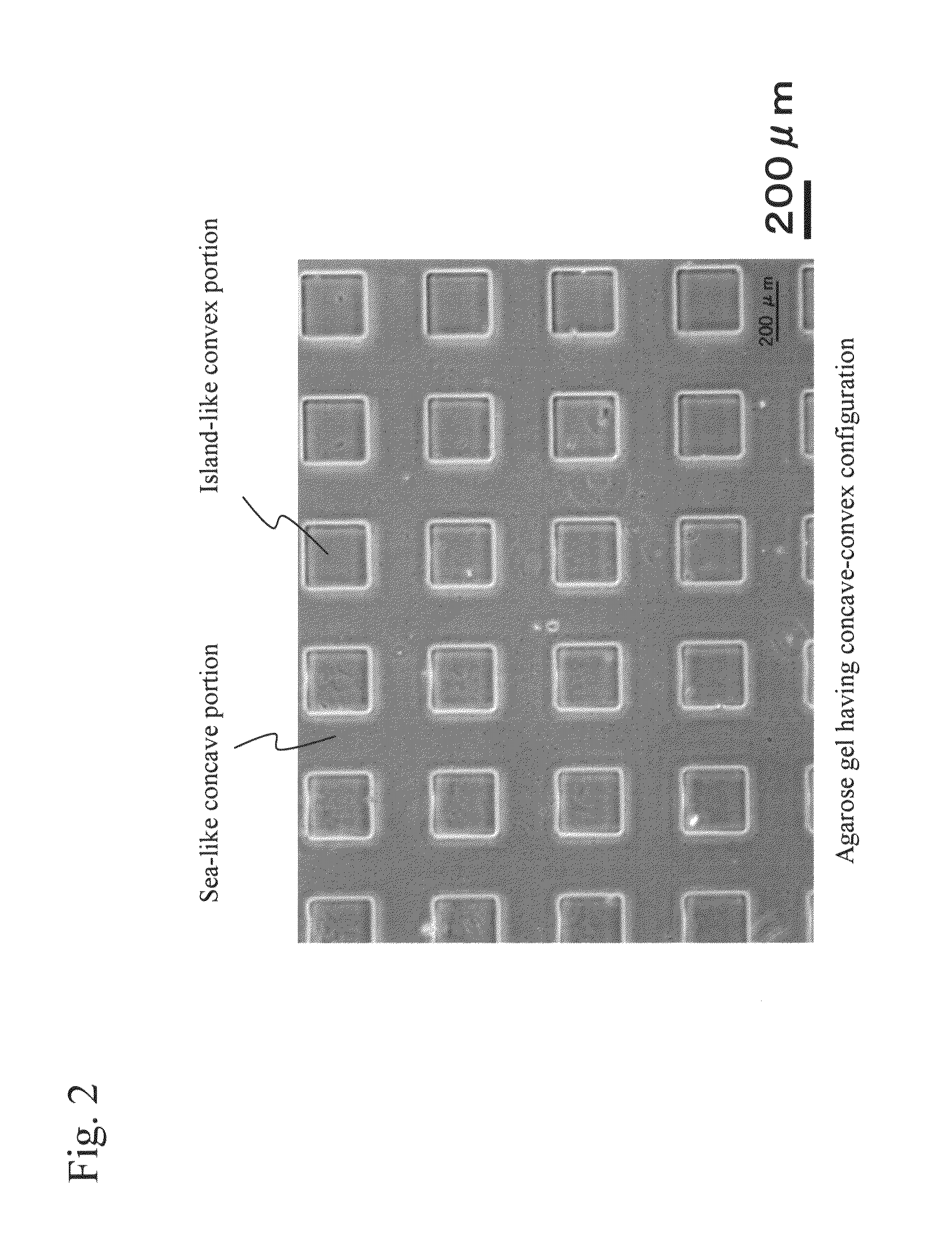 Method for preparing biological tissue