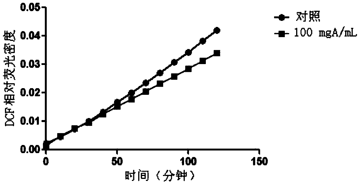 A kind of water extract of plantain algae and its application