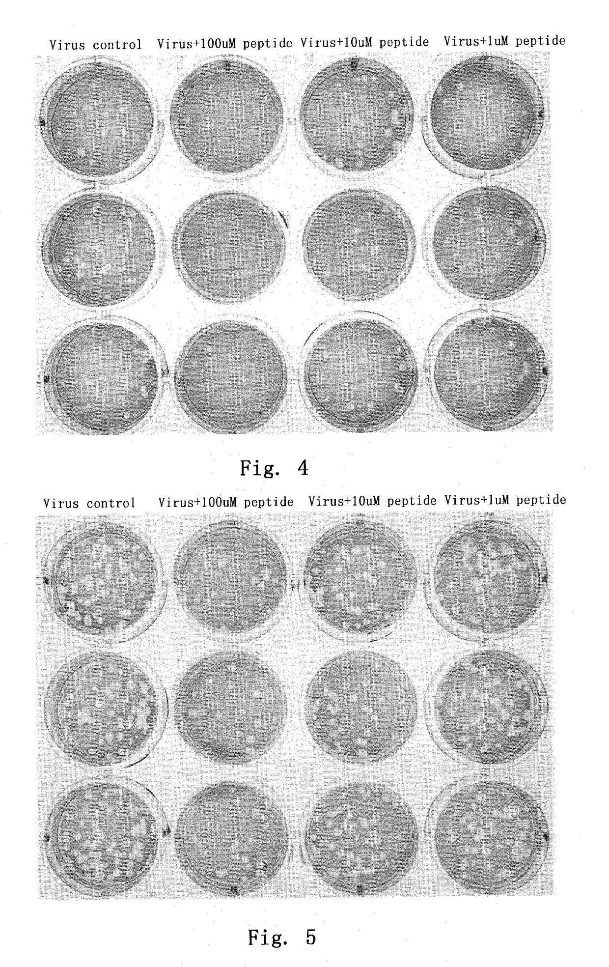 Method and medicament for inhibiting the infection of influenza virus