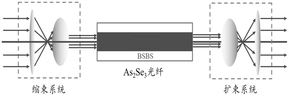 Mid-infrared laser amplitude limiter based on backward stimulated Brillouin scattering of arsenic selenide optical fiber