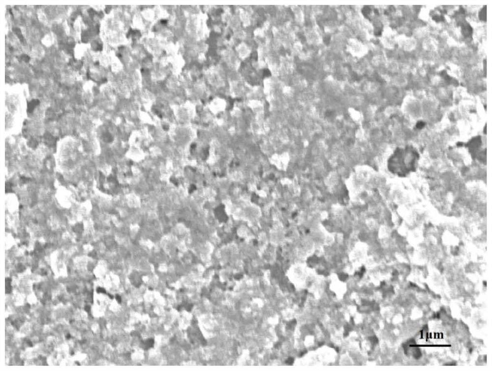 MoS2-IL@CS electrochemical chiral sensor for recognizing tryptophan enantiomers and application thereof