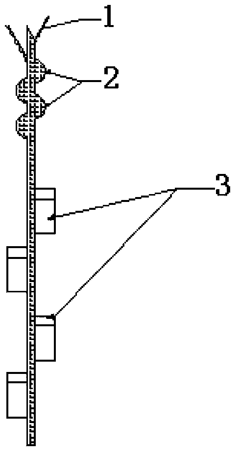 Wall liquid film and wall-free liquid film alternate structured filler adapting to viscous absorbent