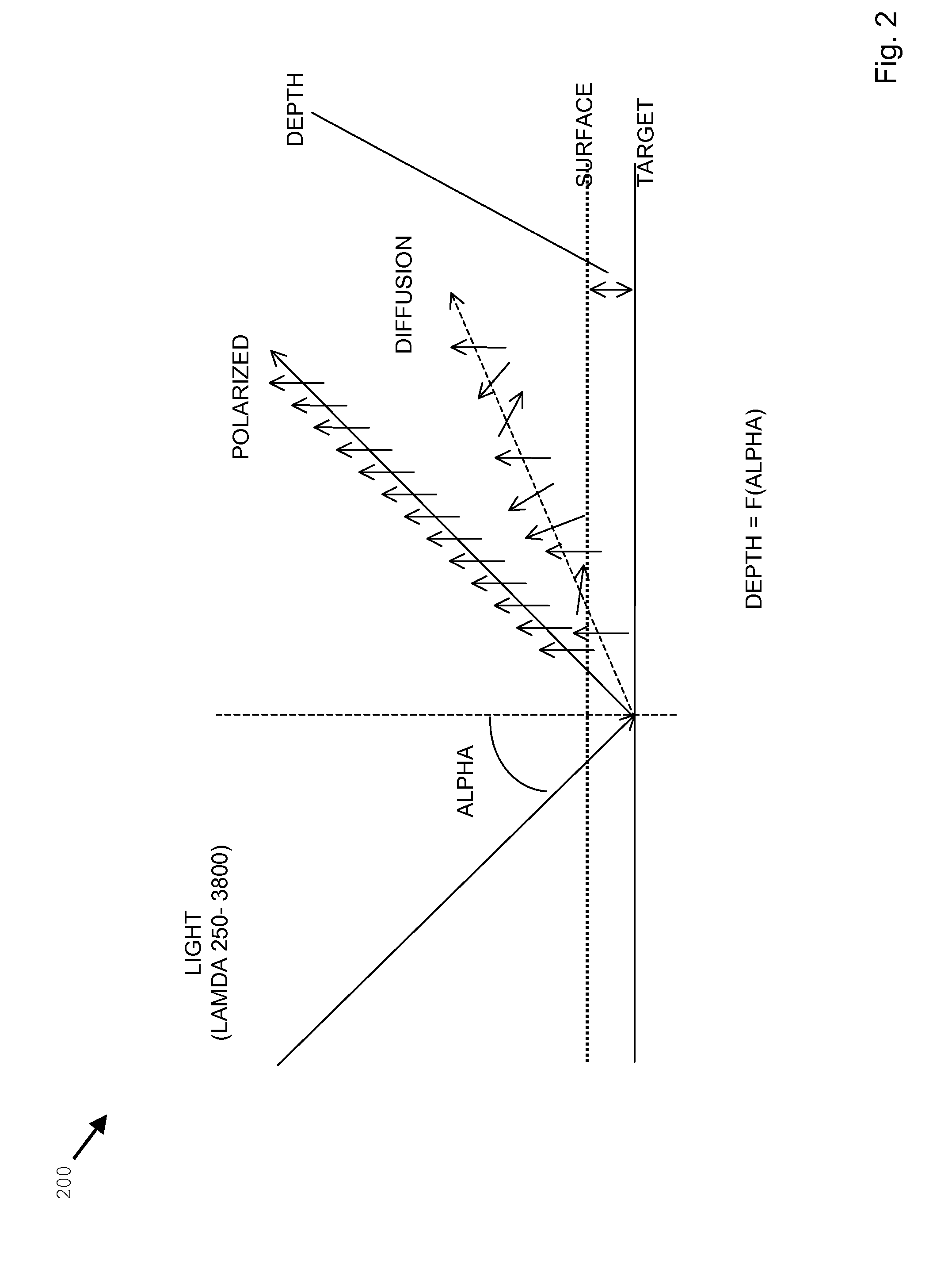 System, device, and method for dermal imaging