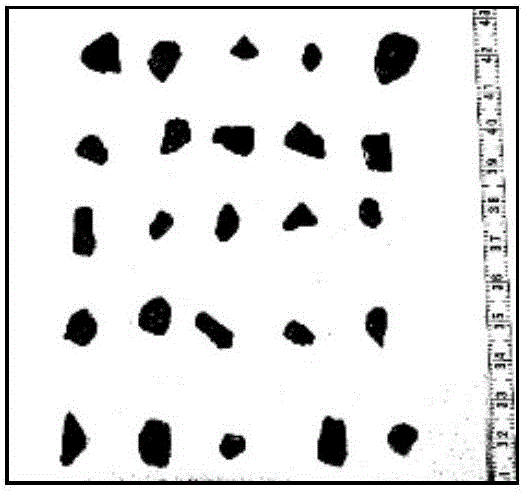 Pervious concrete aggregate particle size measurement method based on image processing