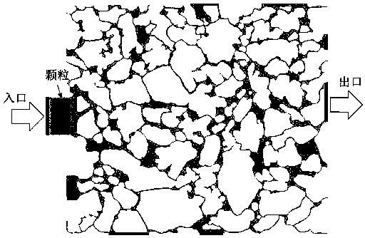 Direct tracking method for pore scale motion of polymer gel particles