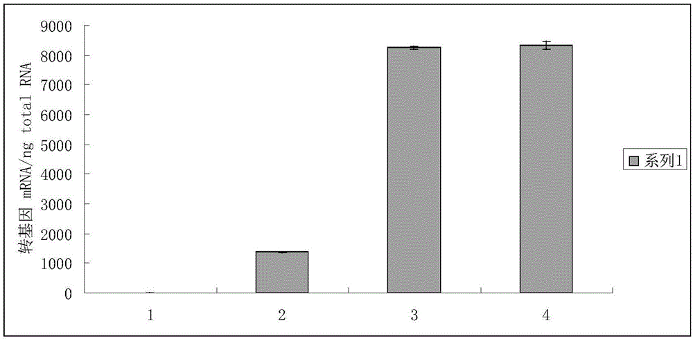 A recombinant plasmid, construction method, recombinant engineering bacteria and application for removing mercury pollution from industrial wastewater