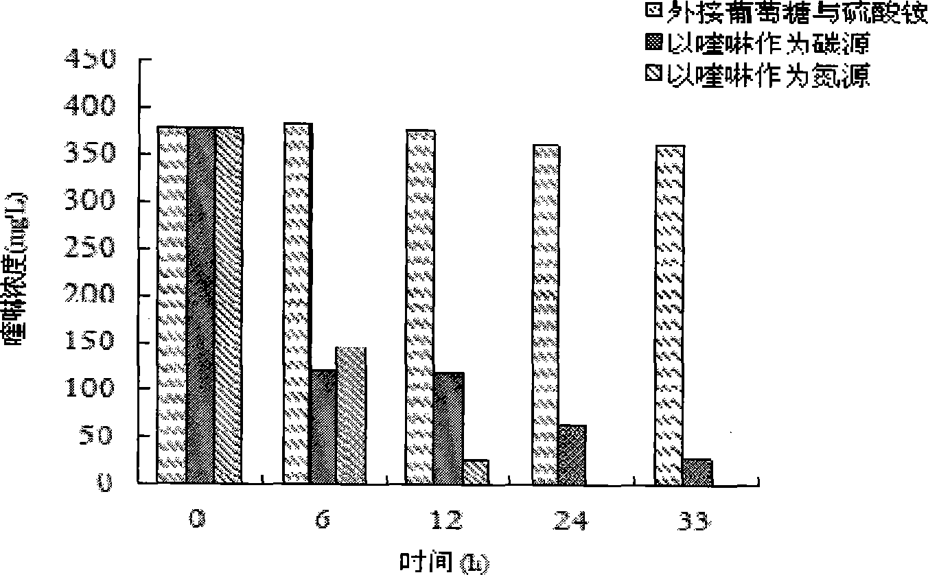 Application of Ochrobactrum sp. bacterial (H1) in quinoline degradation