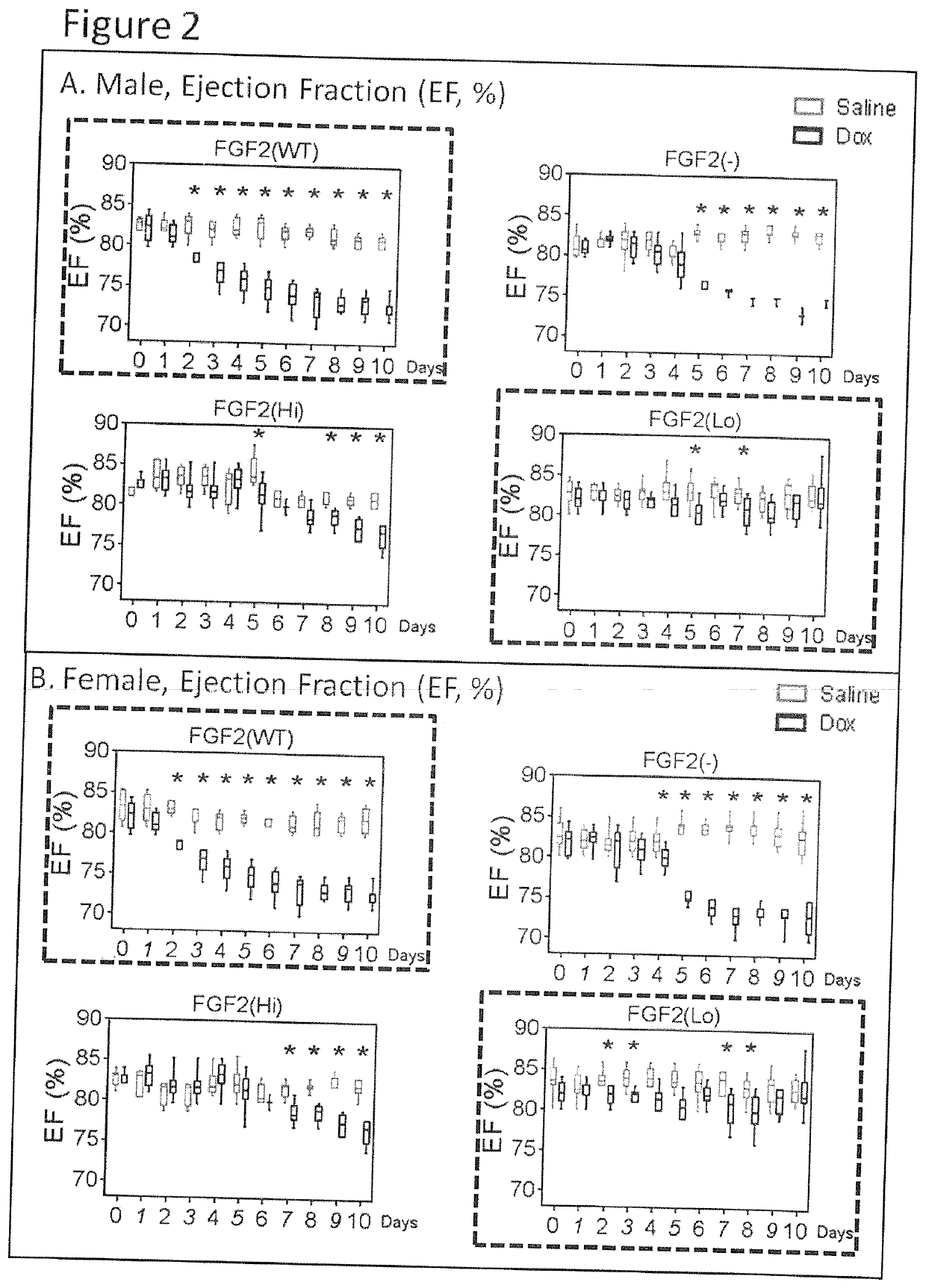 Elimination or Neutralization of Endogenous High Molecular Weight FGF-2 Increases Cardiac Resistance to Doxorubicin-Induced Damage