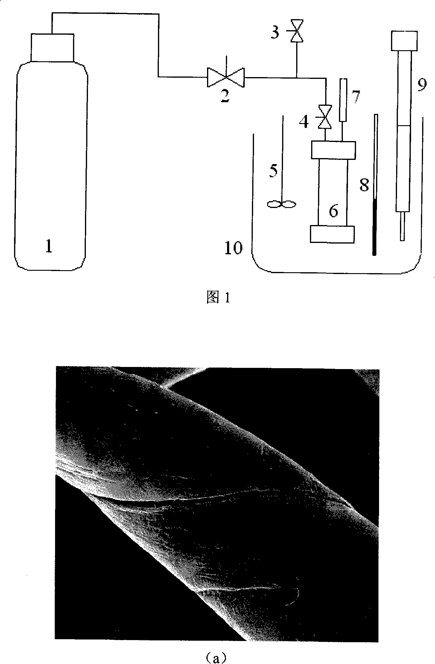 Method for preparing organic or inorganic composite fiber material with supercritical carbonic anhydride