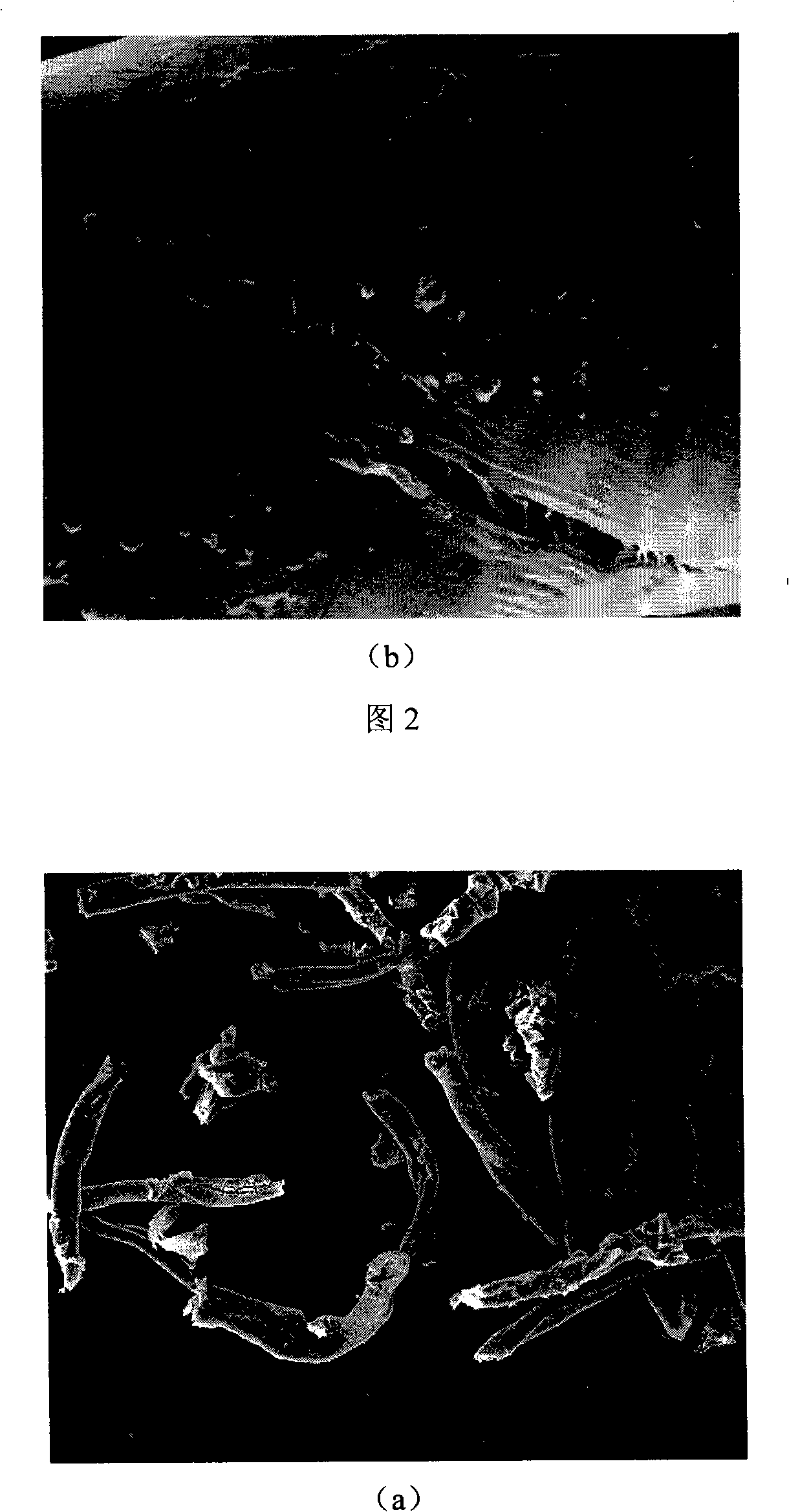 Method for preparing organic or inorganic composite fiber material with supercritical carbonic anhydride