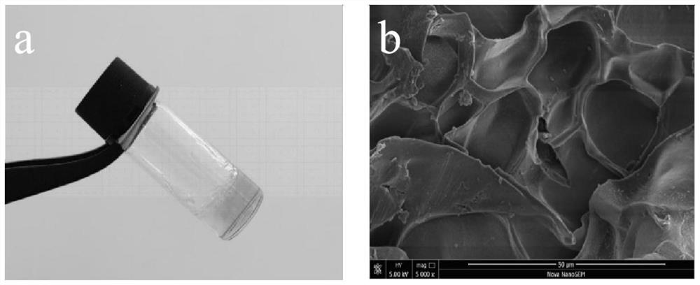 CuS nanoparticle protein hydrogel and preparation method and application thereof