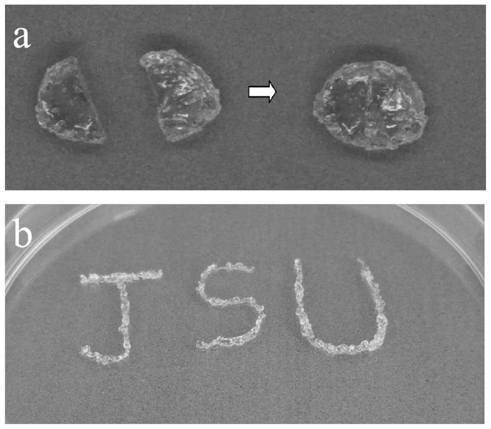 CuS nanoparticle protein hydrogel and preparation method and application thereof