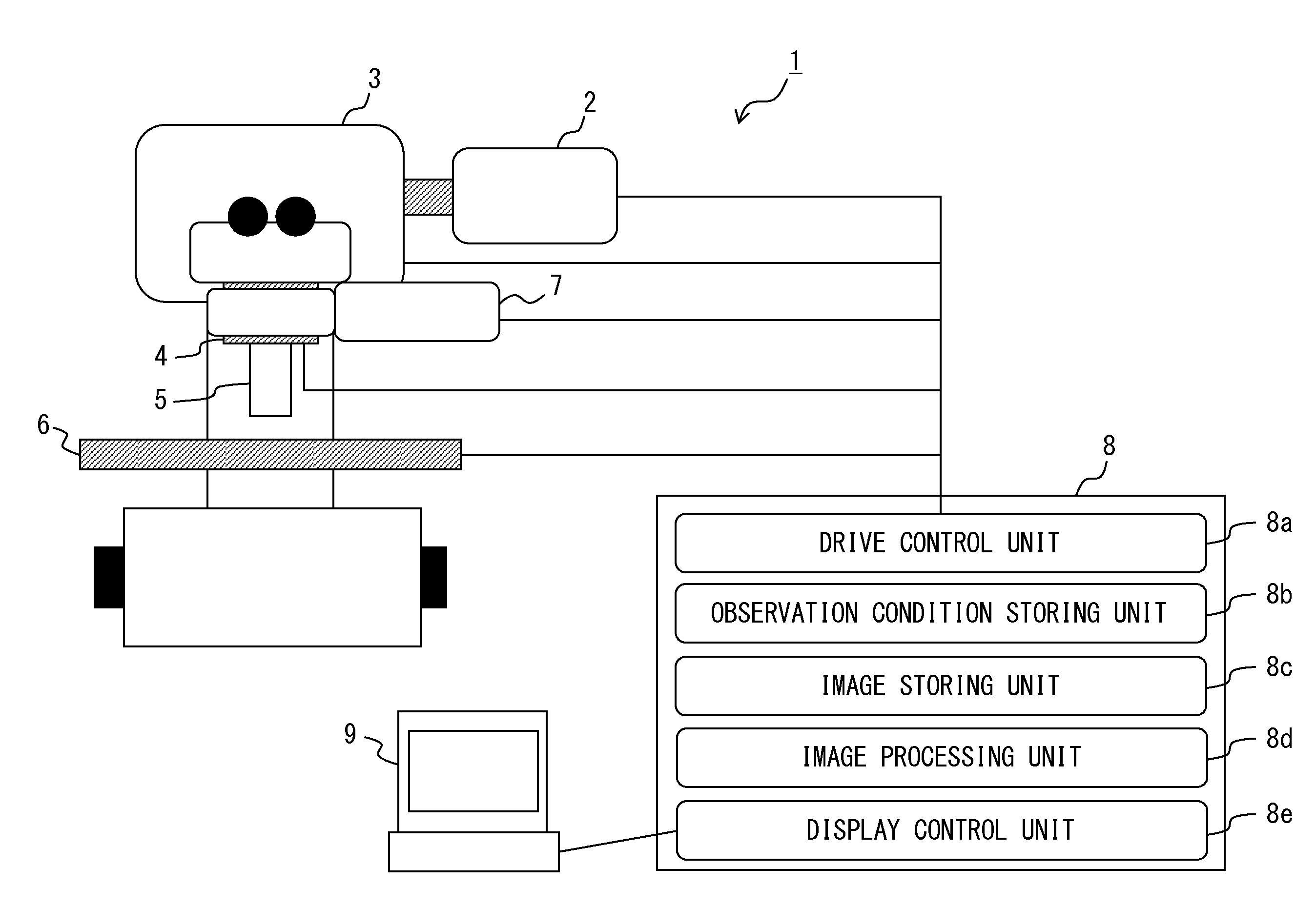 Time lapse observation method, and time lapse observation apparatus and multiphoton microscope used therefor