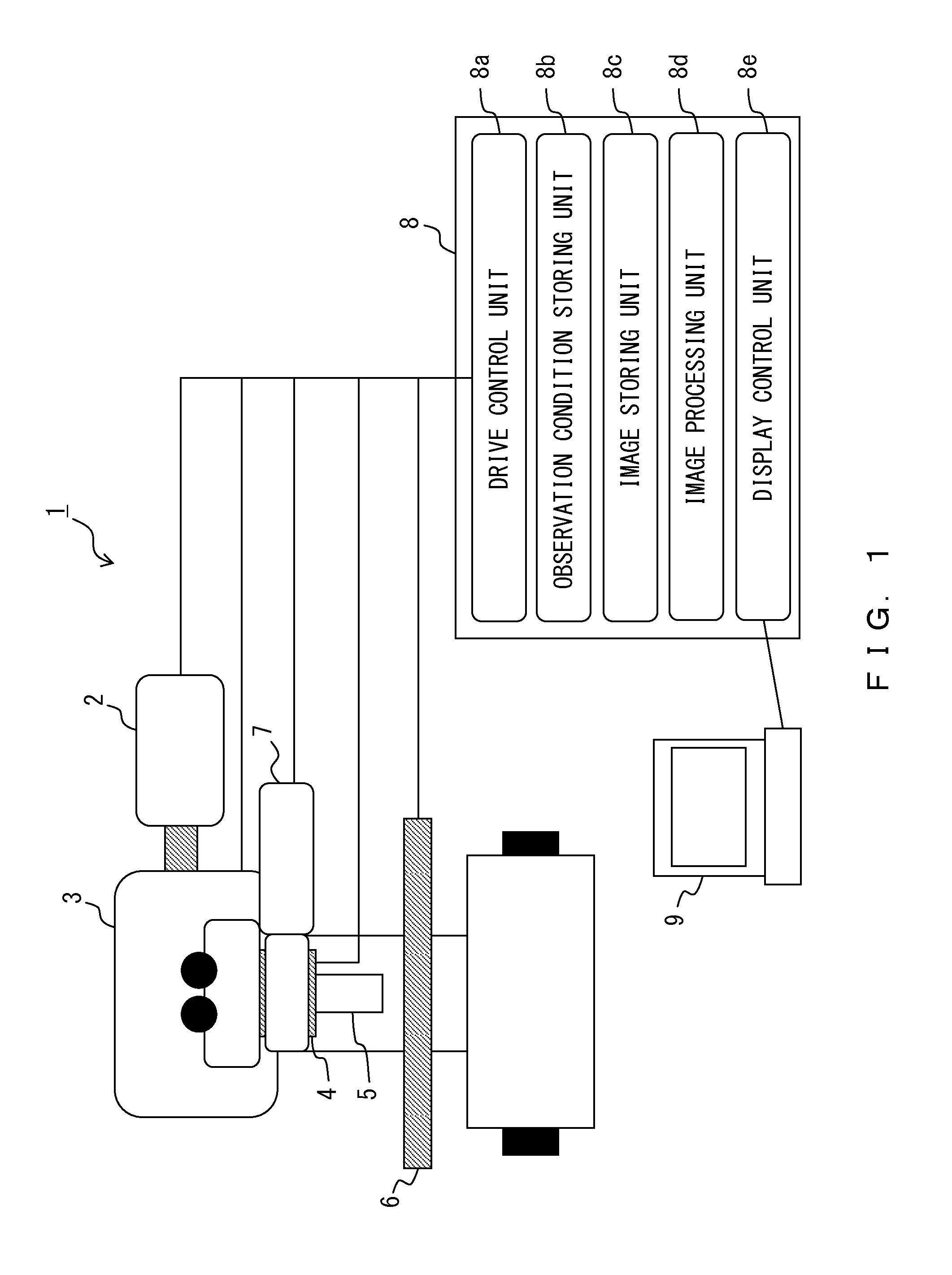 Time lapse observation method, and time lapse observation apparatus and multiphoton microscope used therefor