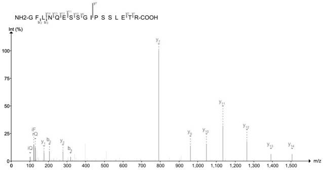 Skin rejuvenation protein marker-LX15B protein and non-invasive extraction method thereof