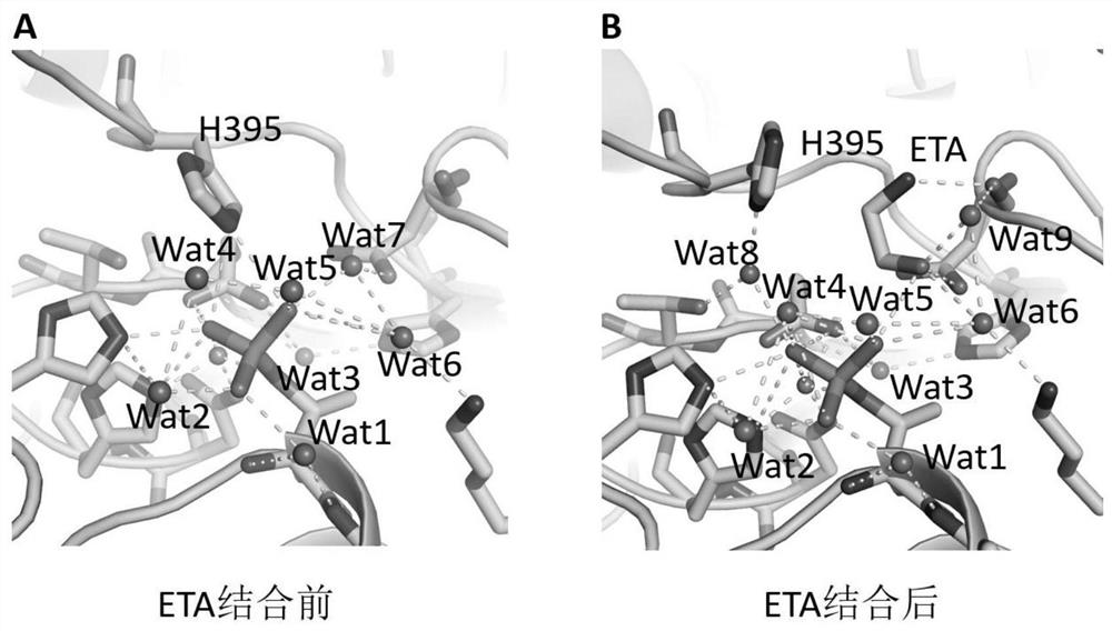 A small molecule inhibitor of polymyxin-resistant protein and its application