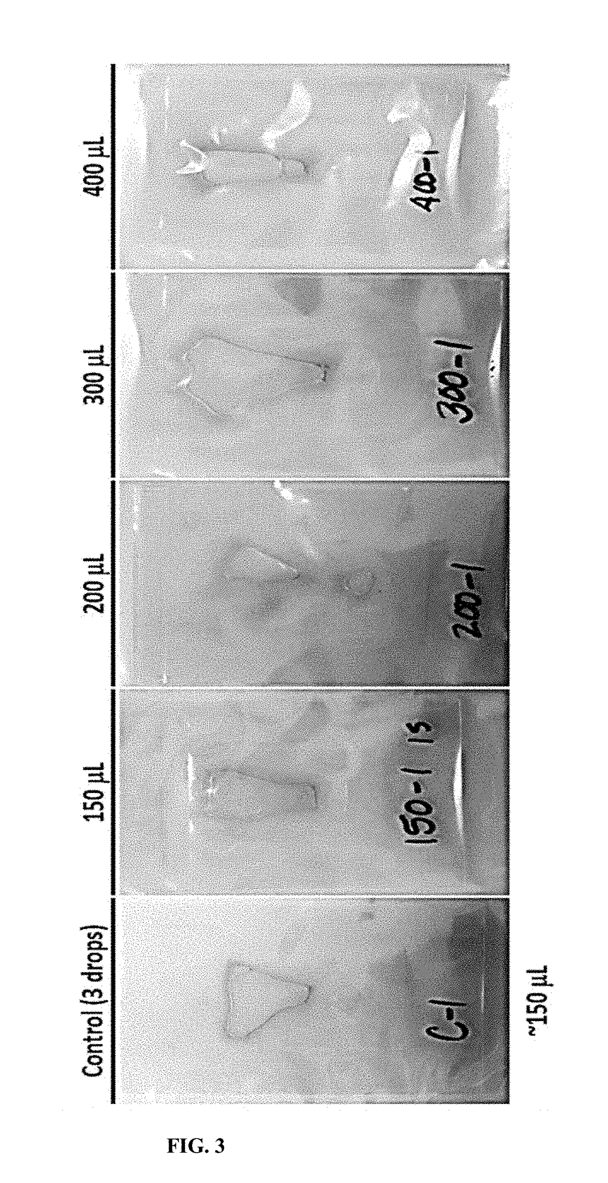 Method for preparing mammalian tissue for storage, implant, and transplant