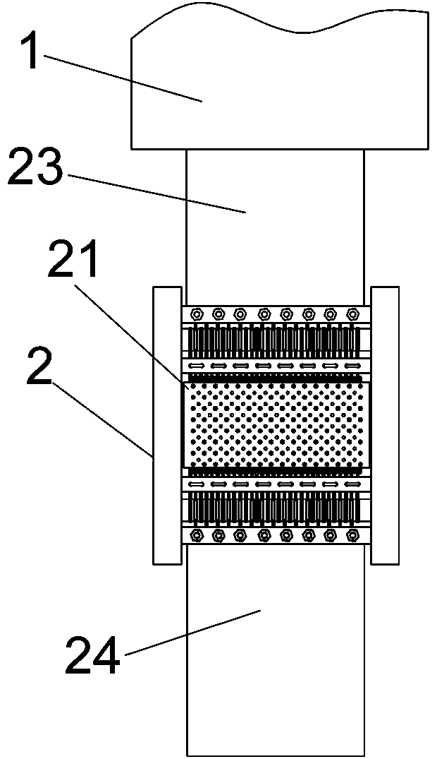 Apparatus for pricking fish flesh