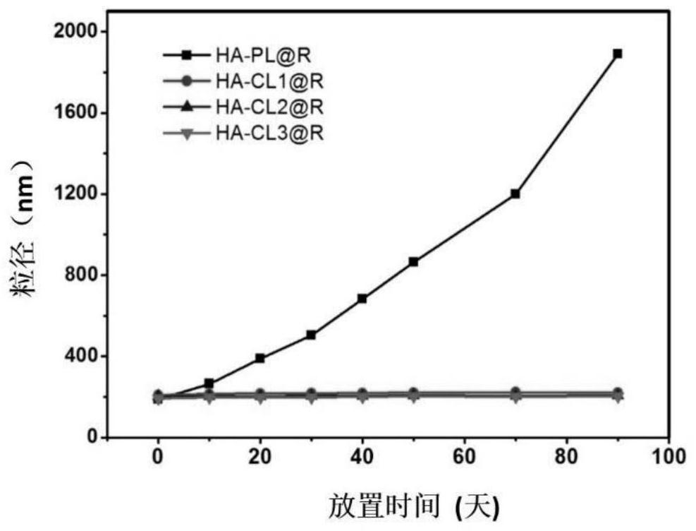 A silicon body delivery system for targeting and activating CD44 molecules, its preparation method and use