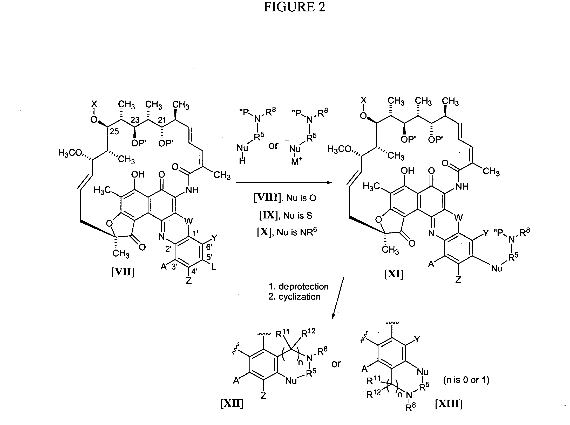 Rifamycin analogs and uses thereof