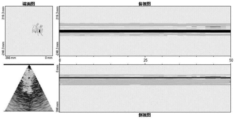 An ultrasonic b+c+d+s scanning identification method for internal defects of steel ingots