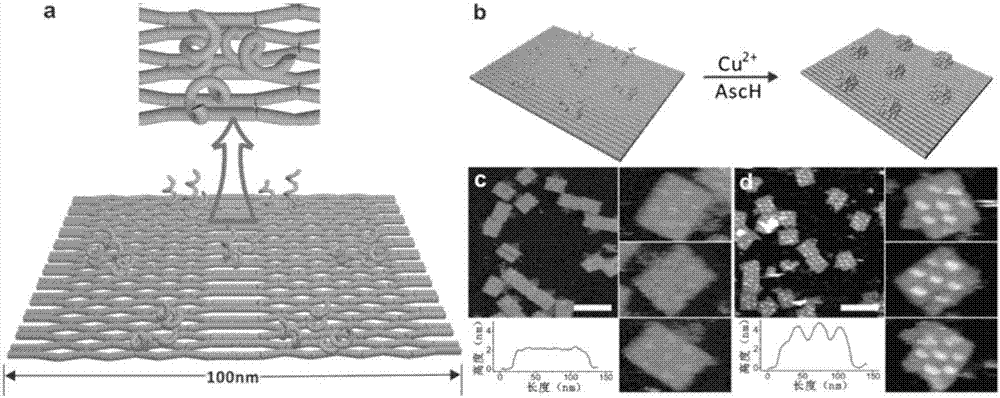 Manufacture method of metal nano circuit patterns based on DNA nano structures