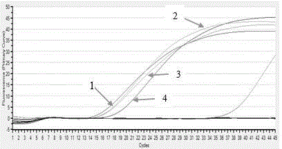 Primer pairs and kit capable of detecting and distinguishing different breeding sheep babesia