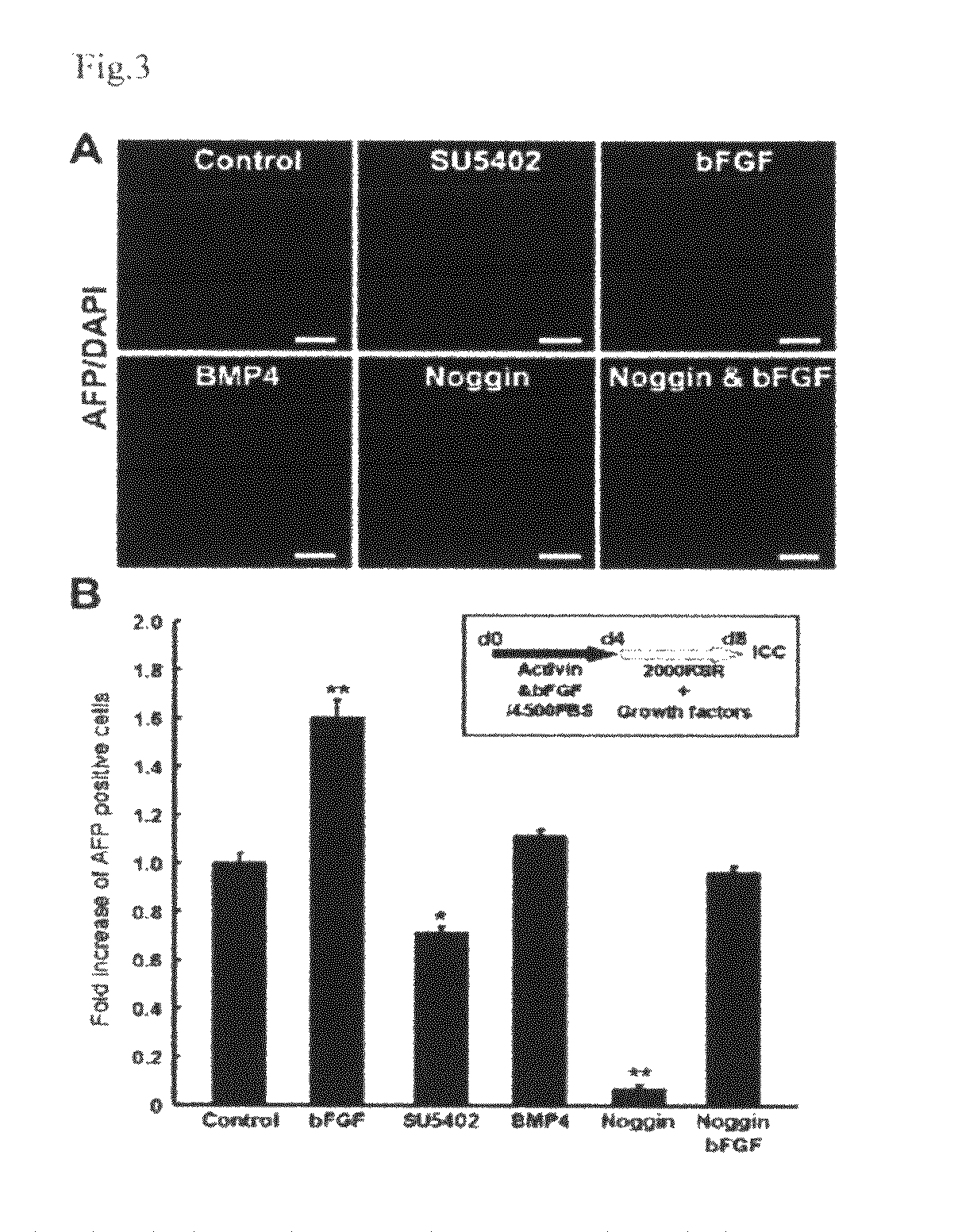 Method for induction of differentiation of ES cell