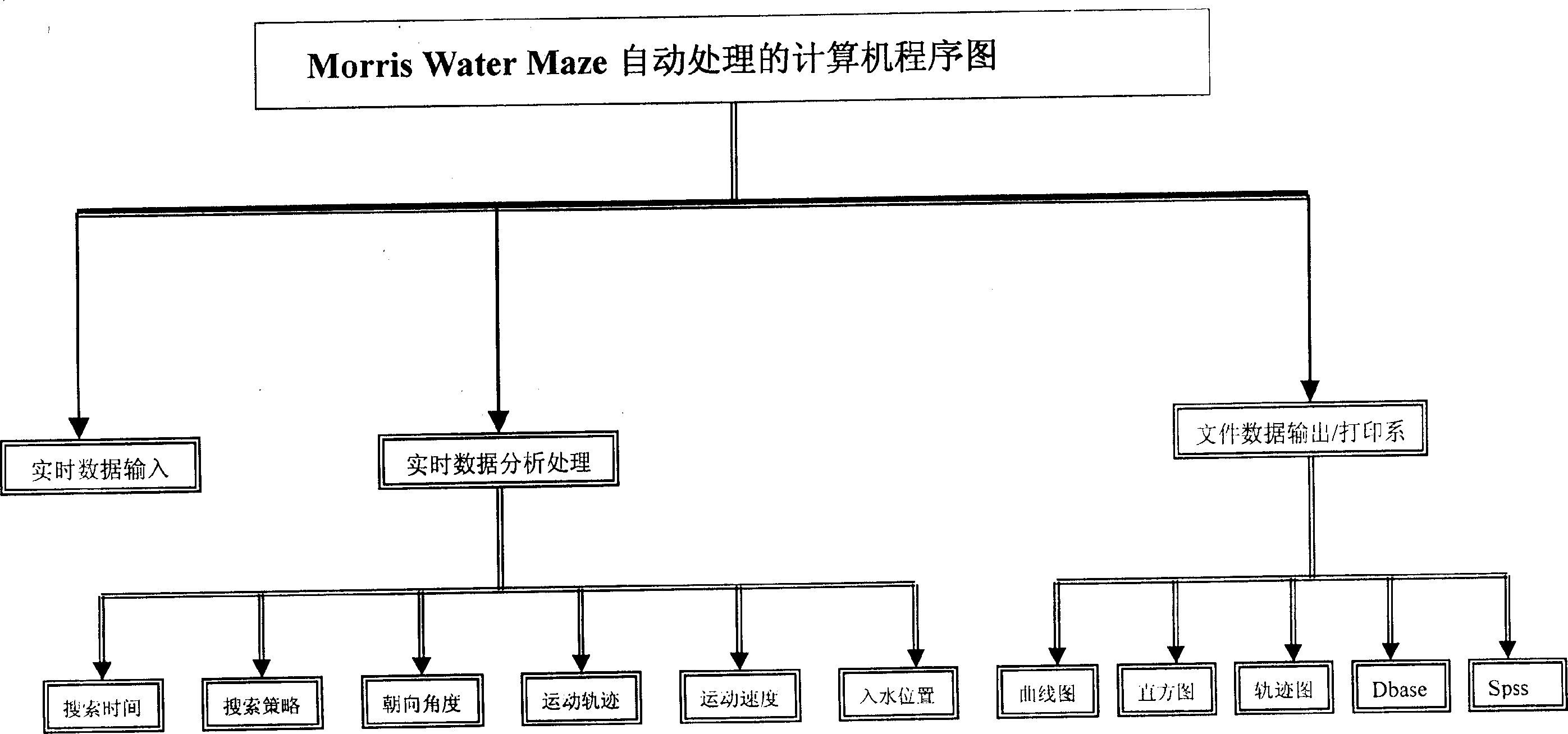 Automatic water maze image processing system and method