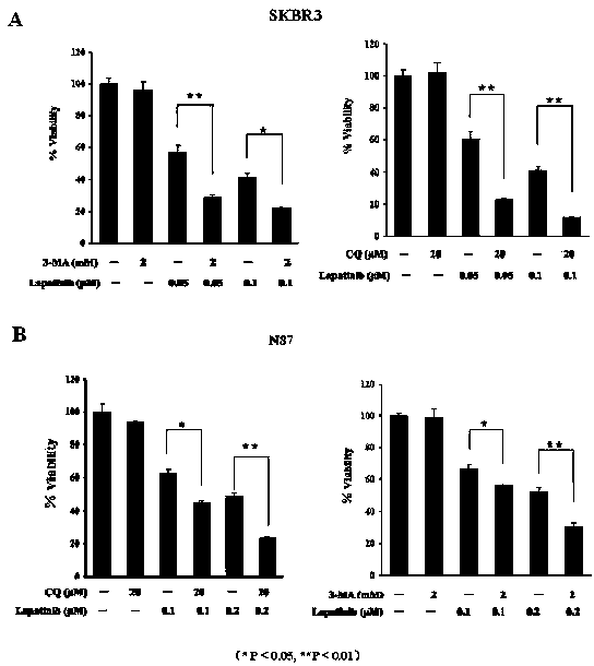 Composition of autophagy inhibitor and lapatinib, and application thereof