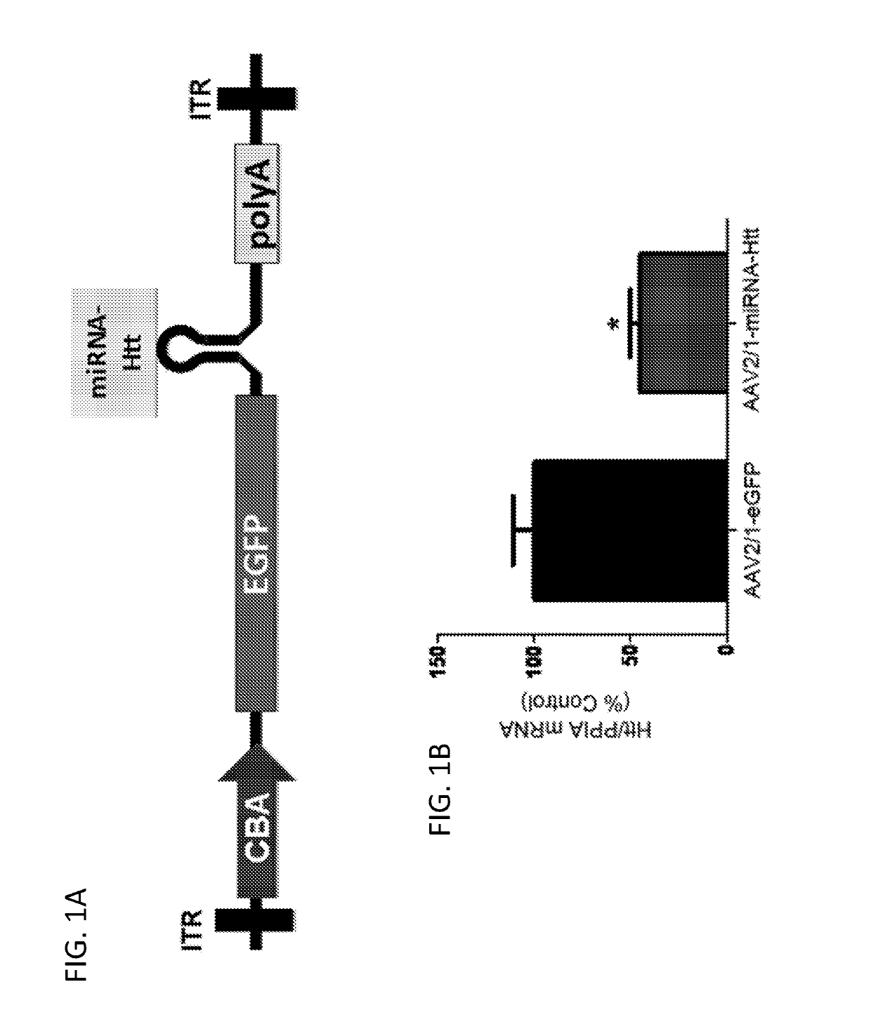 Variant RNAi