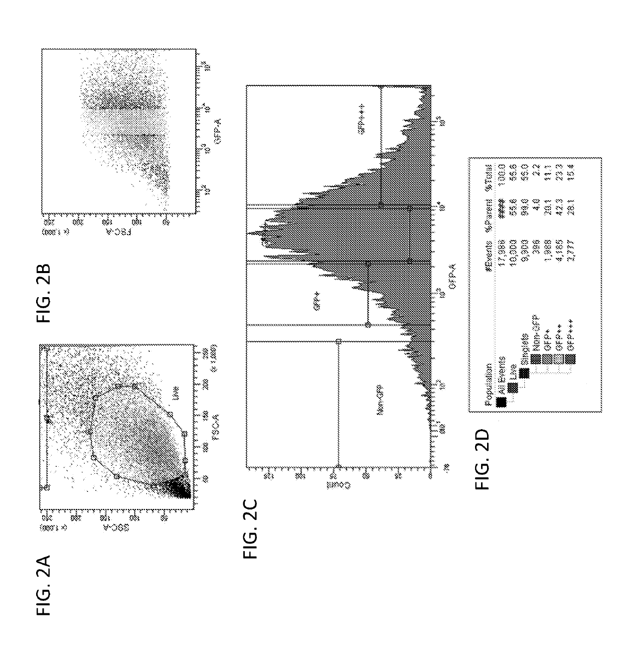 Variant RNAi