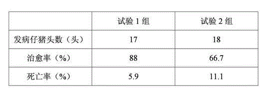 Traditional Chinese medicine composition for preventing piglet dysentery and preparation method thereof