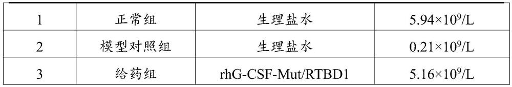 Human granulocyte colony stimulating factor mutant recombinant fusion protein as well as preparation method and application thereof