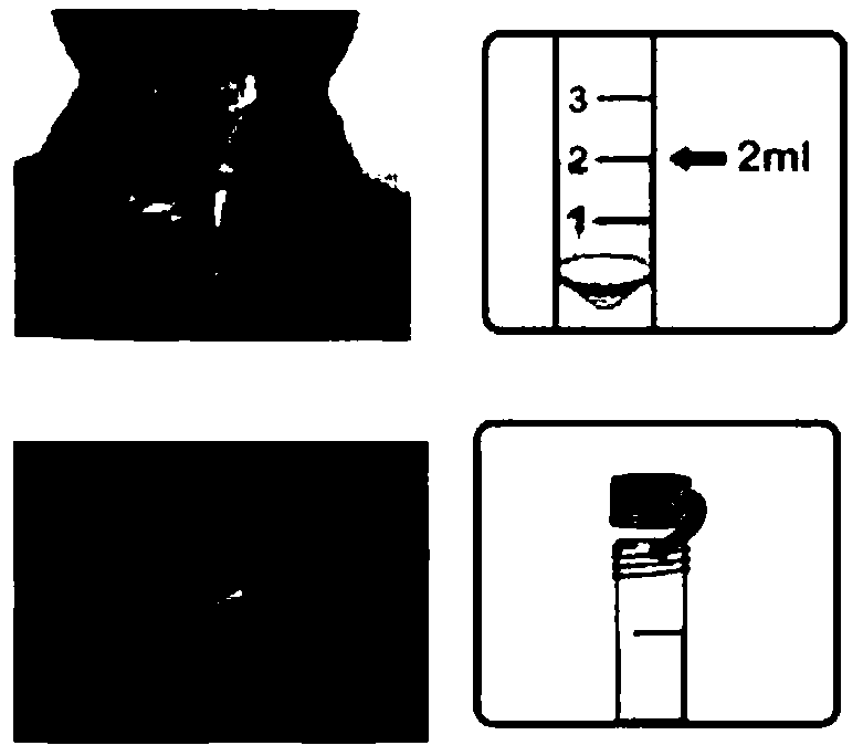 Detection kit and method for polymorphism of ALDH2 gene RS671