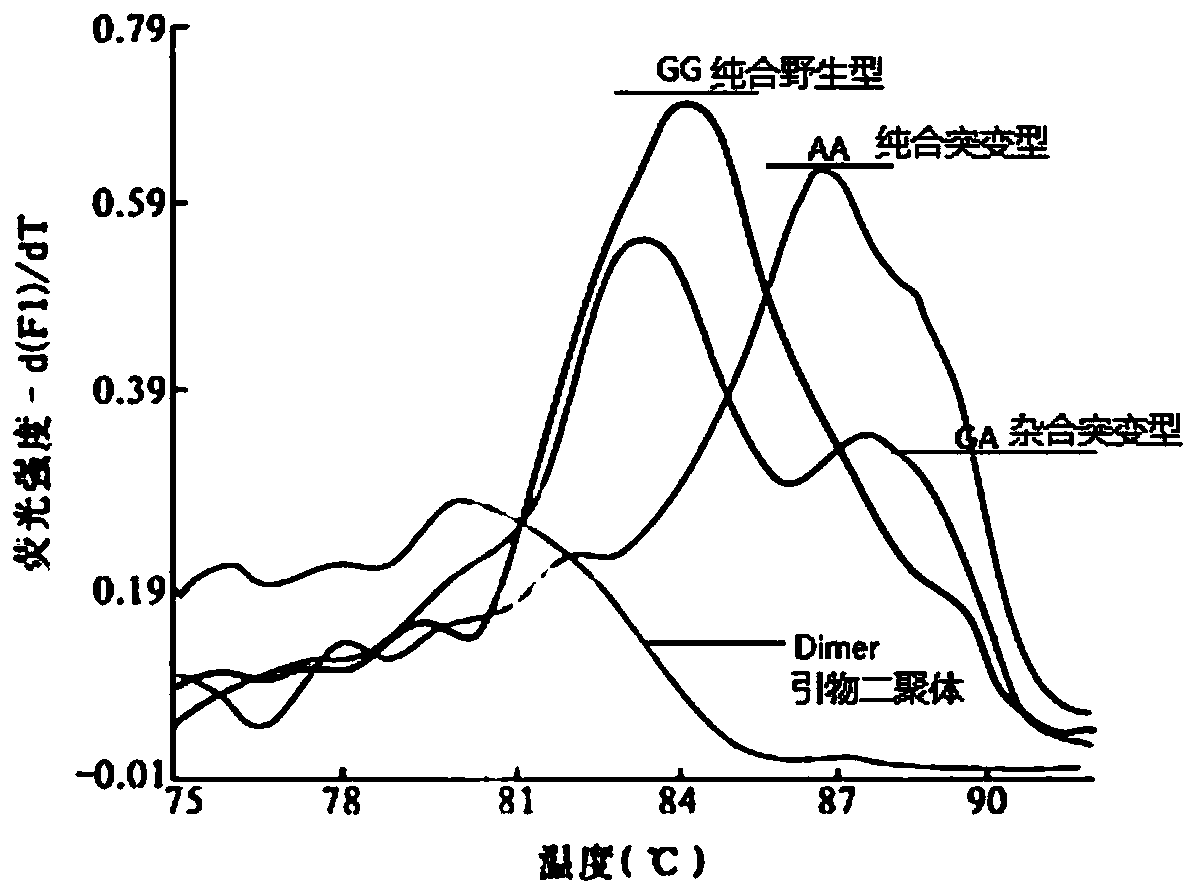 Detection kit and method for polymorphism of ALDH2 gene RS671